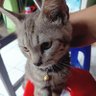 topq's profile picture