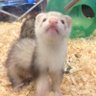 Jimbo's profile picture