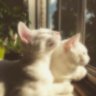 weeweans's profile picture
