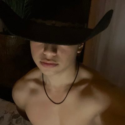 Bernardo's profile picture
