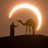 عارف/Areef ........ 🧢👏's profile picture
