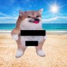 FellaFactor 🇺🇦🇨🇦👩💻 profil fotoğrafı