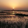 Фото профиля Awais Khan