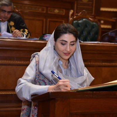 Hina Parvez Butt's profile picture