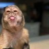 Adedotun. A's profile picture