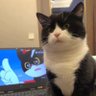 面叔 profil fotoğrafı