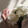 منى 🇸🇦's profile picture