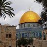 M|🇵🇸's profile picture