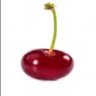 Profilbild von the lime god