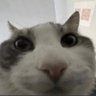 Profilbild von rachida data ™️