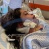 روژئاوا (ال گلینجرر سابق )'s profile picture