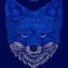 Luiz Henrique's profile picture