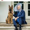 Esquerdista Fede profil fotoğrafı