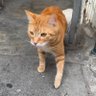bitchuneedwater profil fotoğrafı