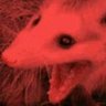 army o'possums's profile picture