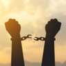 Profilbild von FREEDOM