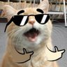 Mongoftw's profile picture