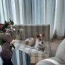 moon's profile picture