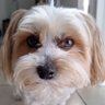 Roxy profil fotoğrafı