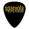Gary Spaniola's profile picture