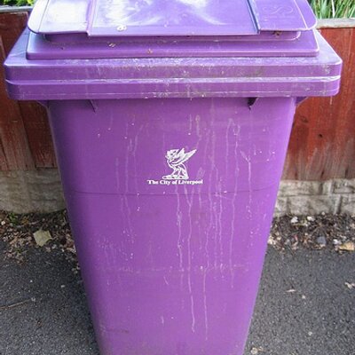 Purple_bin's profile picture