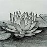 Lalitha R 的头像