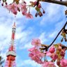 Фото профиля アズ
