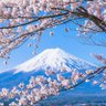 山本五十六 profil fotoğrafı