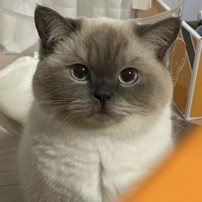 ْ's profile picture