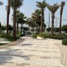 الذهب profil fotoğrafı
