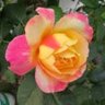 Фото профиля Iahs