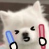 noyyyaaaa's profile picture