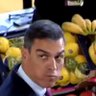 Perro Sanchez's profile picture