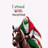 Mohamed Mohamed Chaib's profile picture