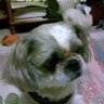 rimin🐸🇺🇦 byひまわり🌻 的头像