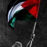 Fayyāḍ ( Insolidarity_Indefiance)'s profile picture
