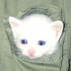 fromafar915's profile picture