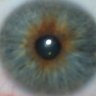 Profilbild von this is