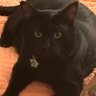 Profilbild von Tanning Chatum