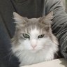 Mariovzorhmo's profile picture