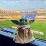 Pavo32's profile picture