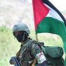 Profilbild von جلال الجلال