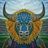 Fenerli Boğa 🦾 💛💙 profil fotoğrafı