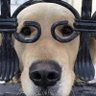 Hermann Maier @grusel20.bsky.social's profile picture