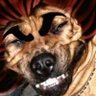 1 Thessalonians 5:26's profile picture