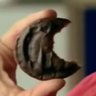 Jaffacakes's profile picture