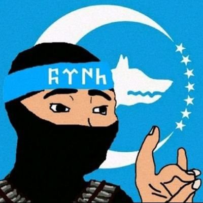 ferhat the Türkist's profile picture