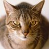 sparky52t's profile picture