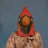 Sarah Allen's profile picture