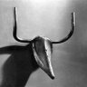 Daniel Anastasoff's profile picture